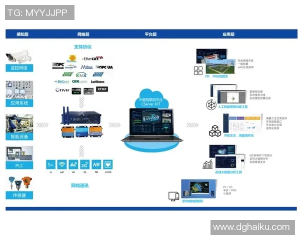 查路与洪卡分析的深度比较与应用探讨