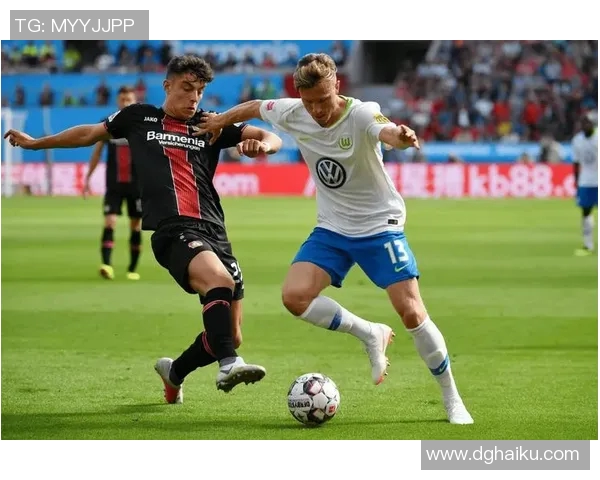 维踢者主场迎战汉诺威全力争胜力争积分榜上升