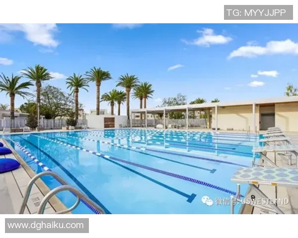 加州尔湾与夏威夷的文化碰撞与生活方式对比分析