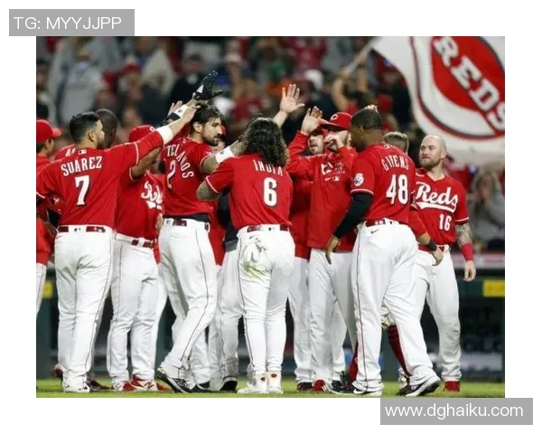 红人队挑战职业队的精彩对决谁将成为最终的胜者